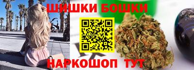 дмт Бийск