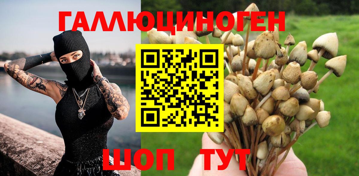 Златоуст  Псилоцибиновые грибы Psilocybe  Вход с VPN 